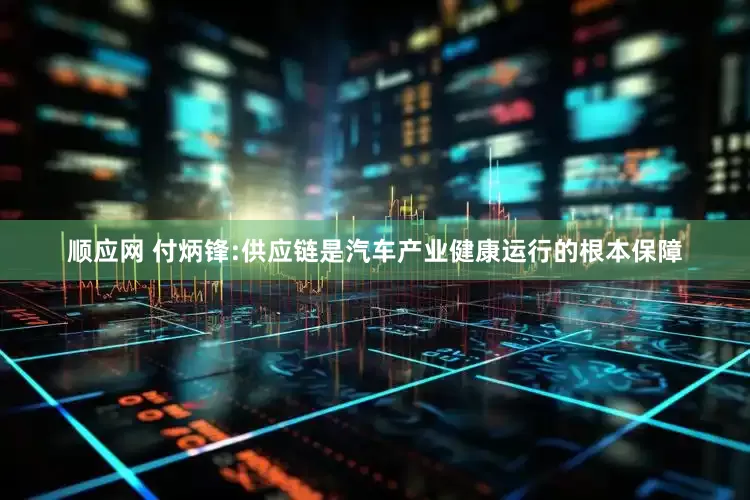 顺应网 付炳锋:供应链是汽车产业健康运行的根本保障