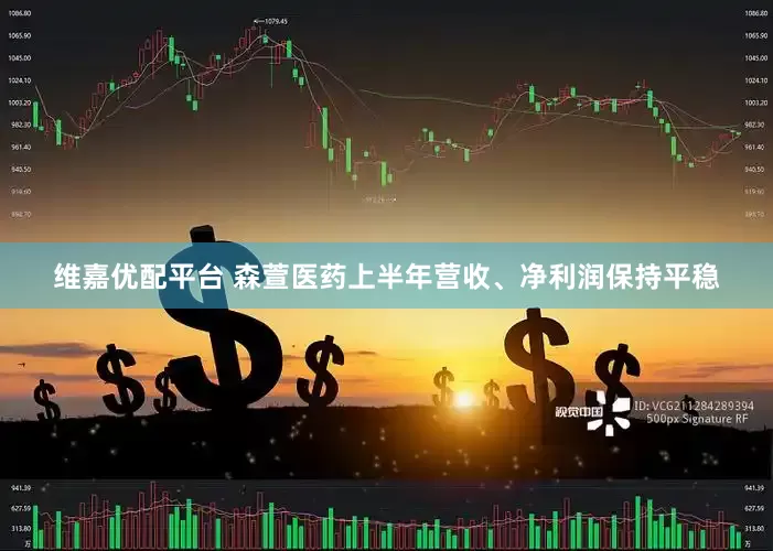 维嘉优配平台 森萱医药上半年营收、净利润保持平稳