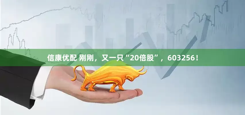 信康优配 刚刚，又一只“20倍股”，603256！